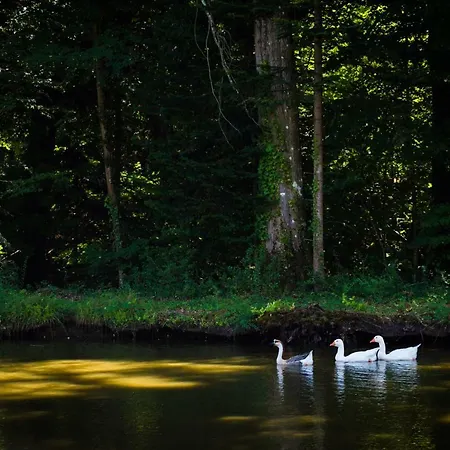 Du Domaine De La Groirie - Le Mans 4*