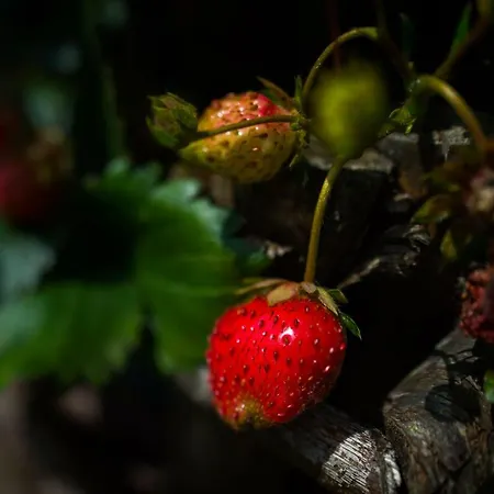Du Domaine De La Groirie - Le Mans מלון