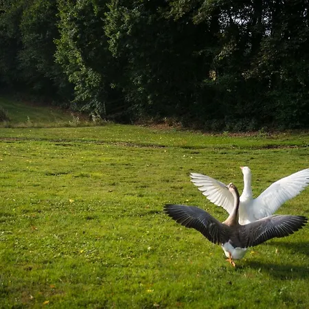 Du Domaine De La Groirie - Le Mans Trangé