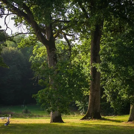 מלון Du Domaine De La Groirie - Le Mans