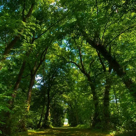 فندق Du Domaine De La Groirie - Le Mans Ouest 4*